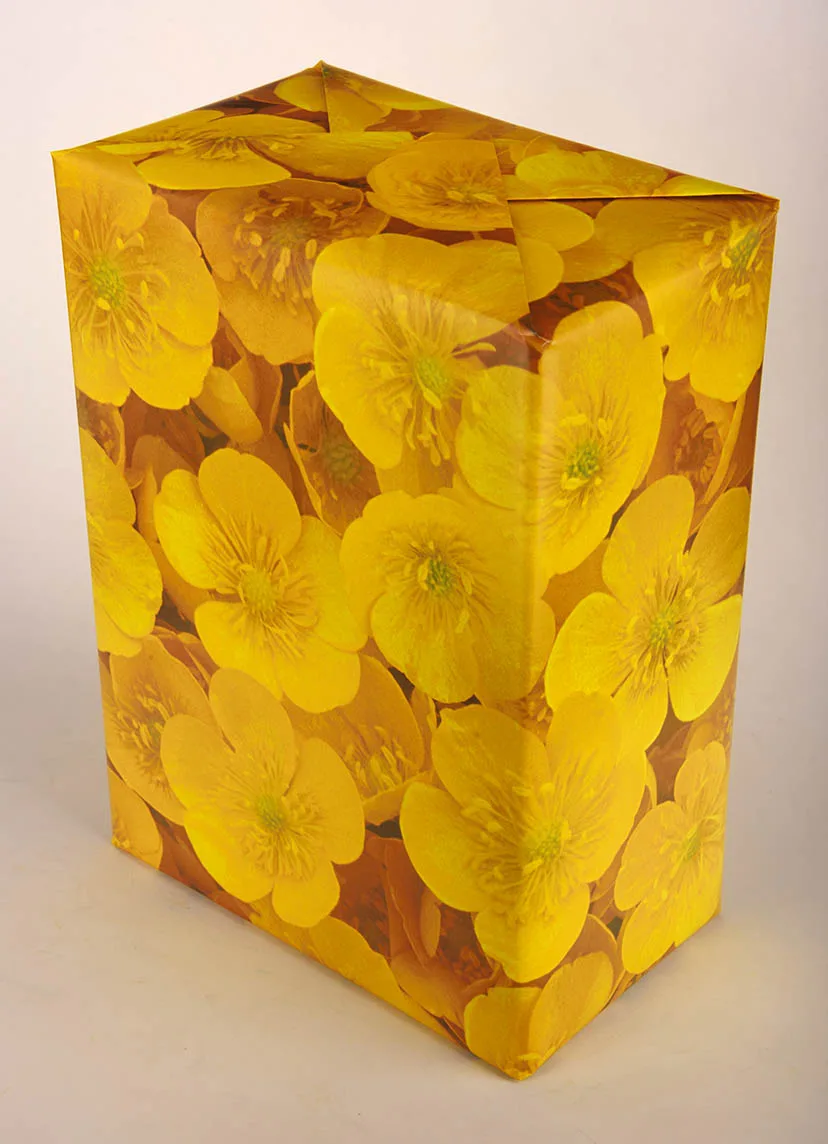 Apples wrap - 25 sheets Apples wrap - 25 sheets