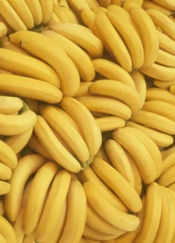 Banana gift-wrap with gift tag x 25 Banana wrap - 25 sheets