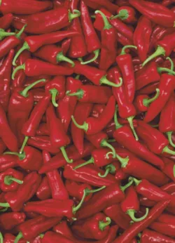 Chillies gift-wrap with gift tag x 25 Chillies wrap - 25 sheets