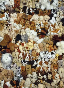 Daisy gift-wrap with gift tag x 25 Dogs wrap - 25 sheets