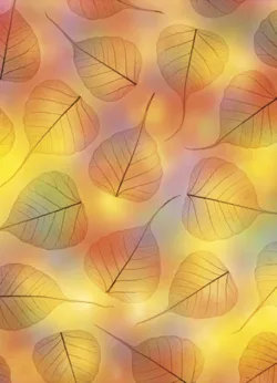 Leaflight gift-wrap with gift tag x 25 Leaflight wrap - 25 sheets