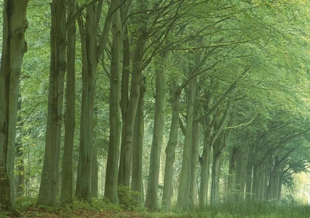 Avenue Greetings Cards x 6 Avenue Greetings Cards x 6