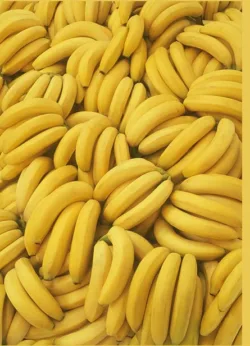 Bananas greetings Cards x 6 Bananas greetings Cards x 6