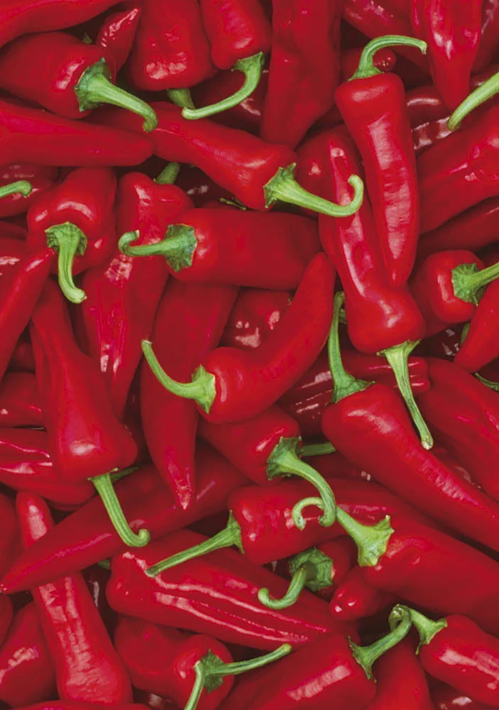 Chillies Greetings Cards x 6 Chillies Greetings Cards x 6