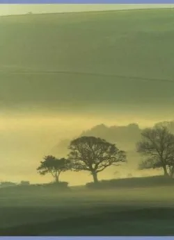 Misty Morning Greetings Cards x 6