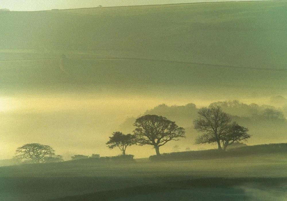 Misty Morning Greetings Cards x 6