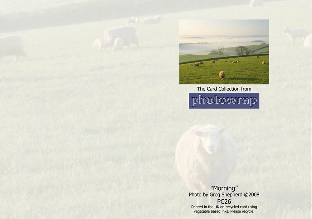 Morning Greetings Cards x 6