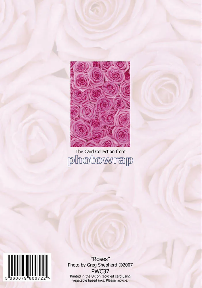 Pink Rose Greetings Cards x 6 Pink Rose Greetings Cards x 6