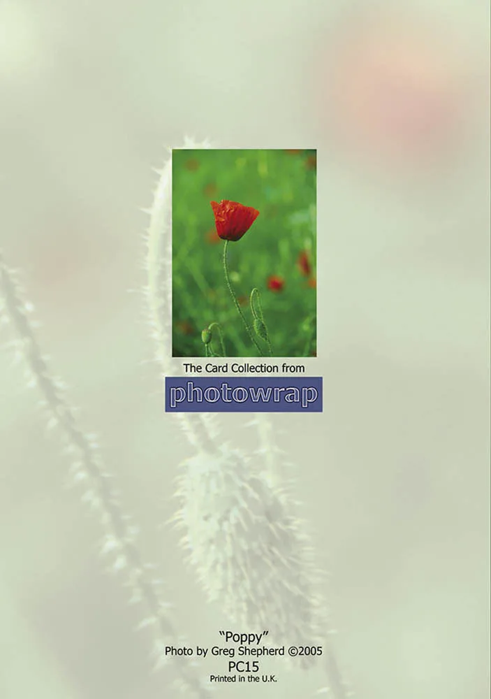 Poppies Greetings Cards x 6 Poppies Greetings Cards x 6