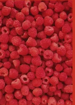 Raspberries Greetings Cards x 6