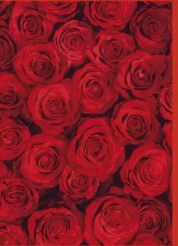 Red Roses Greetings Cards x 6
