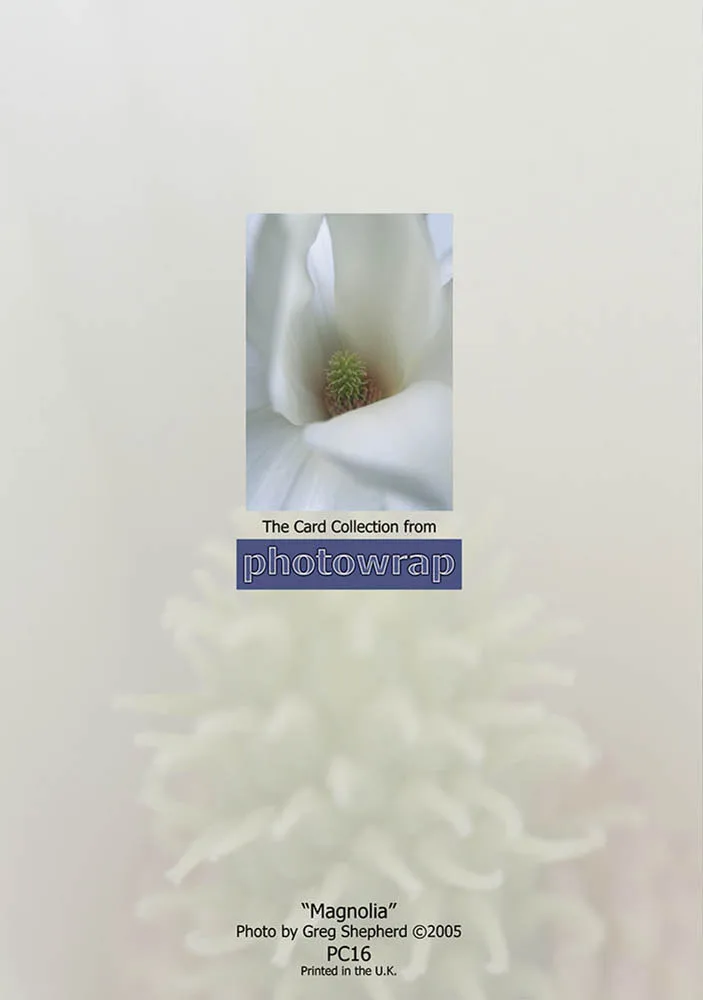 Magnolia greetings Cards x 6 Magnolia greetings Cards x 6