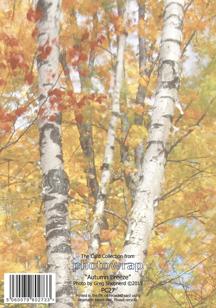 Autumn Breeze greetings Cards x 6