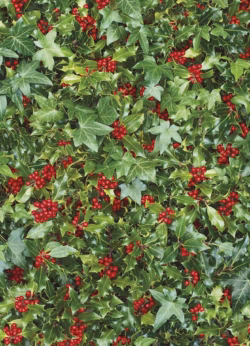 Holly & Ivy Gift Wrap - 25 sheets Holly & Ivy Gift Wrap - 25 sheets