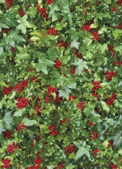 Holly & Ivy Gift Wrap - 25 sheets