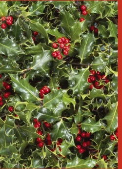 Holly Greetings Cards x 6 Holly Greetings Cards x 6